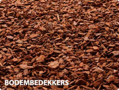 Boomschors kopen