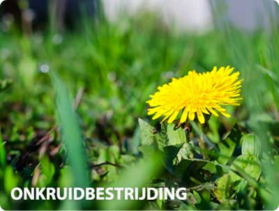 Onkruidbestrijder kopen
