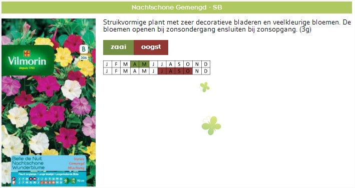 Bloemen zaaien - Bloemzaden Nachtschone