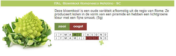 Bloemkool Romanesco zaaien - Zaden Natalino
