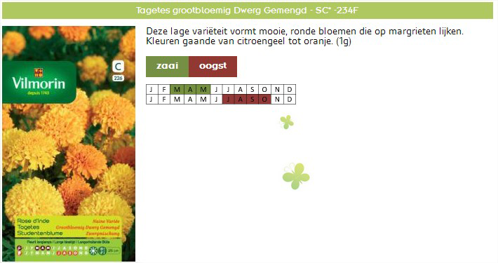 Bloemzaden Tagetes Dwerg gemengde afrikaantjes zaaien