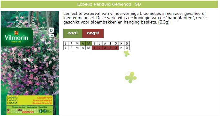 Bloemzaden bestellen