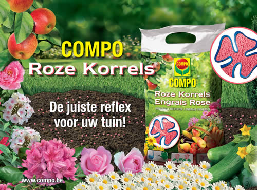 Compo Roze korrels prijs