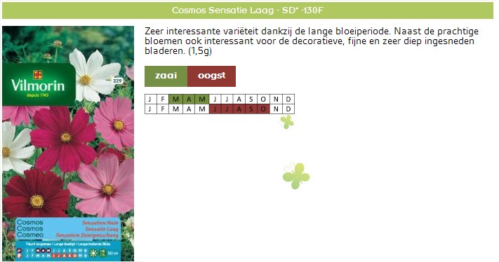 Cosmos bloemen zaaien - Bloemzaden kopen