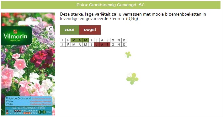 Grootbloemige Phlox Zaaien - Bloemzaden kopen van Vilmorin