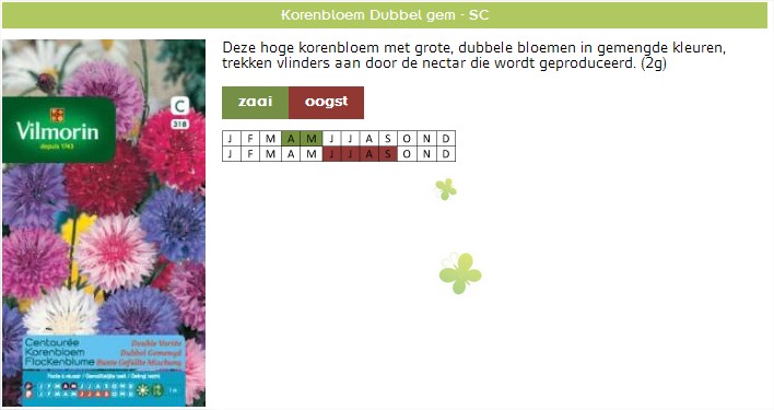 Korenbloem zaden kopen online