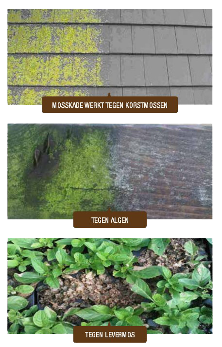 Mos bestrijden en groene aanslag verwijderen.