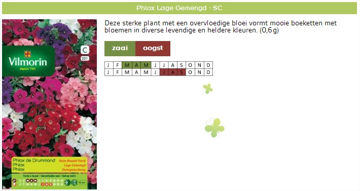Phlox zaaien - Laaggroeiende phlox zaden