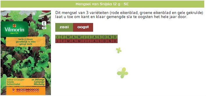 Snijsla zaaien het hele jaar door met Vilmorin!