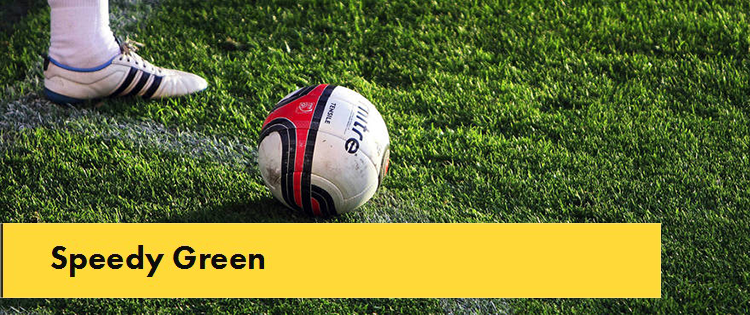 Speedy Green Sportgazon - Herstel graszaad
