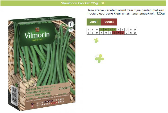 Struikbonen zonder draad planten - Vilmorin Crockett