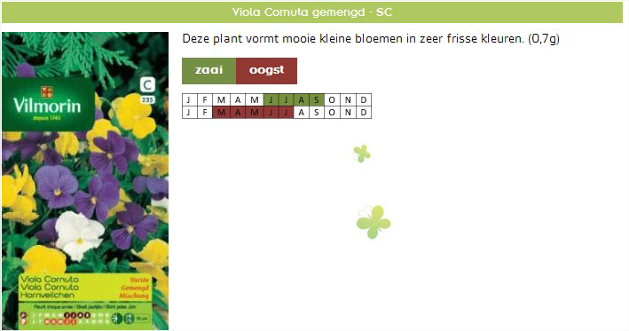 Viooltjes zaaien - Zaden viola Cornuta gemengd