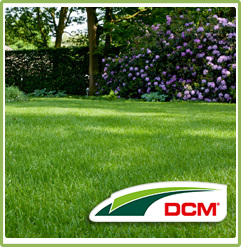 DCM Graszaad