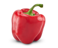 Paprika zaden