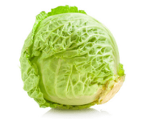 Witte kool zaden