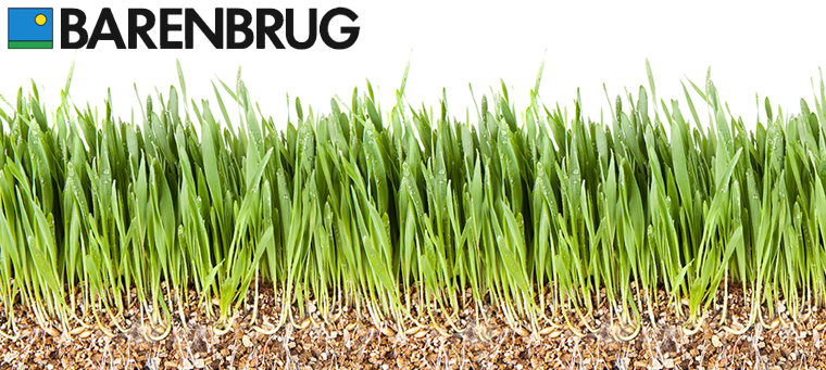 Barenbrug