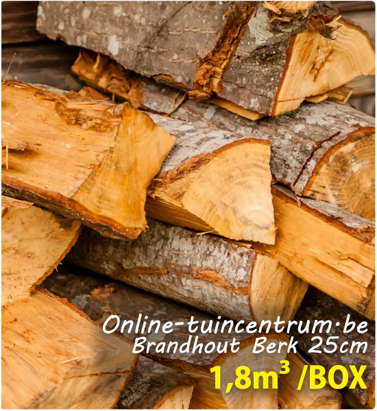 Brandhout berk te koop per 1,8m³ | Gratis in België