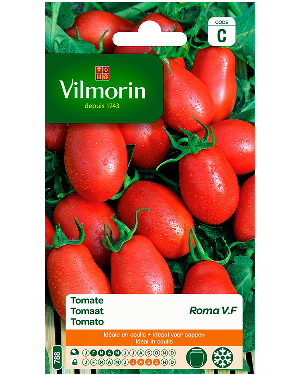 Skim Weinig Duizeligheid Tomaten zaden kopen "Roma" - Heerlijke tomaat geschikt voor inmaak
