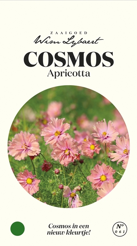 Wim Lybaert bloemzaden | Cosmos Apricotta