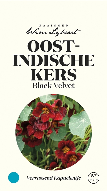 Wim Lybaert bloemzaden | Oost-Indische Kers Black Velvet