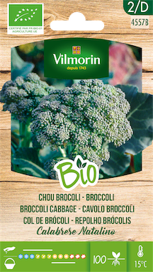 Vilmorin broccoli zaden | calabrese natalino Bio