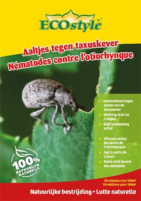Ecostyle Aaltjes tegen taxuskever 100m