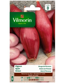 Vilmorin zaden Ajuin Rode Van Firenze 5g