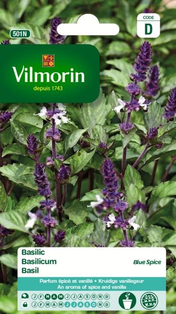 Vilmorin zaden Basilicum Blue Spice