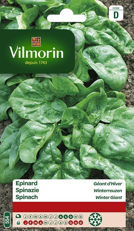 Vilmorin Spinazie Winterreuzen 50g - XL verpakking