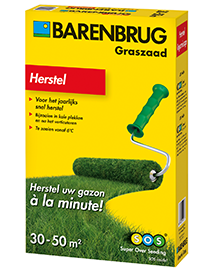 Graszaad Barenbrug Herstel Rapide 50m