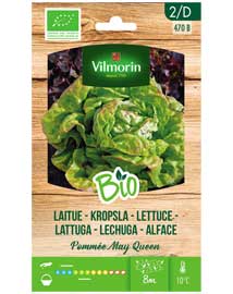 Bio groenten zaden Kropsla Pomme May Queen 2g
