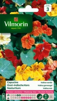 Bloemzaden Oost-Indische kers Valina