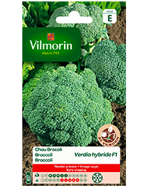 Vilmorin Zaden Broccoli Verdia HF1 0,5g