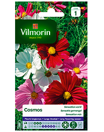 Bloemzaden Cosmos Sensatie Gemengd 2g