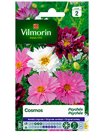 Bloemzaden Cosmos Psyche gemengd 1,5g