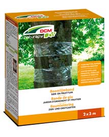 DCM Boomlijmband voor sier- en fruitbomen 2 x 3m