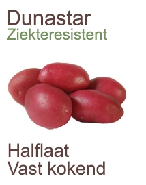 Pootaardappelen Dunastar 2,5 kg
