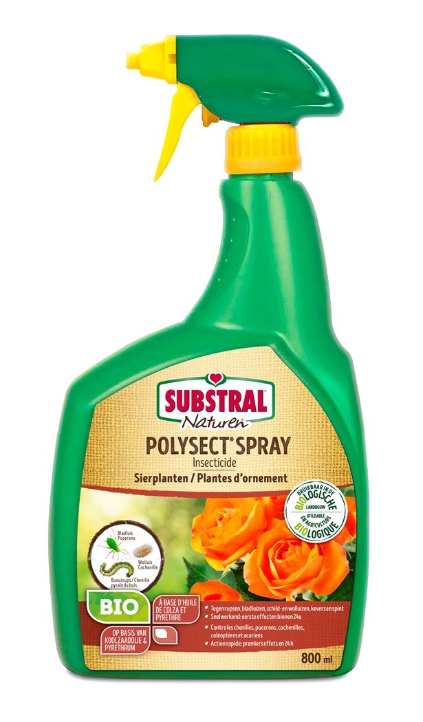Insecten in siertuin bestrijden met gebruiksklare spray 800 ml