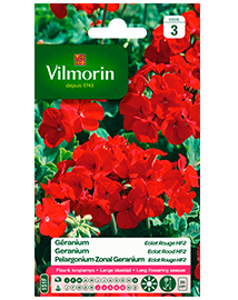 Bloemzaden Geranium Eclat Rood Hybride F2 0,3g