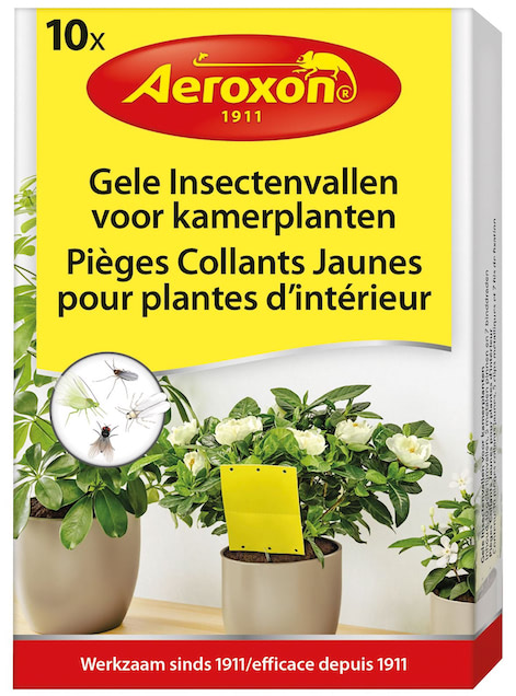 Insectenvallen voor kamerplanten 10 stuks