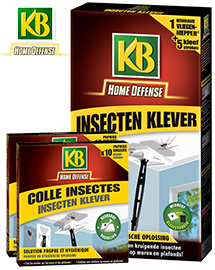 KB Insecten Klever Insecten bestrijden in huis en keuken