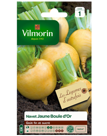Rapen zaden Jaune Boule d'Or 4g