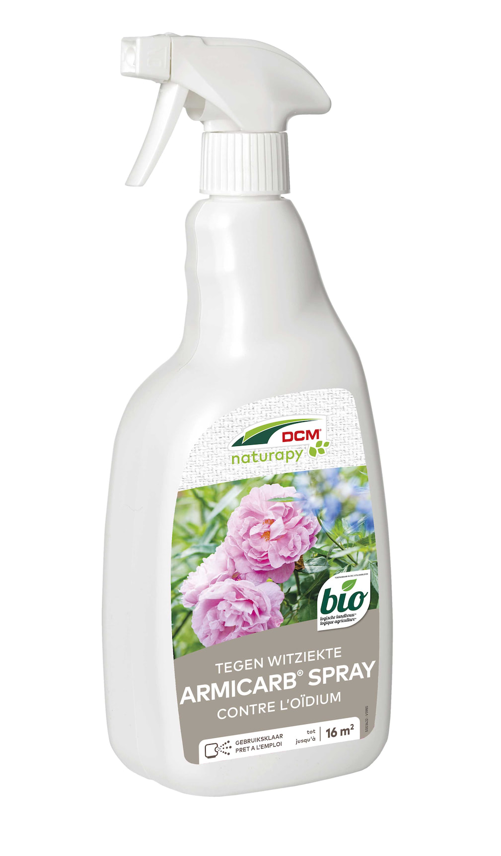 Meeldauw bestrijden op rozen met DCM spray 1 L