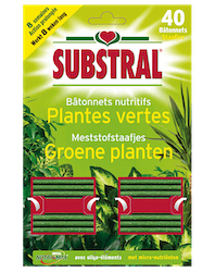Substral Meststofstaafjes voor Groene Planten 40stuks 