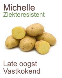 Pootaardappelen Michelle 2,5kg