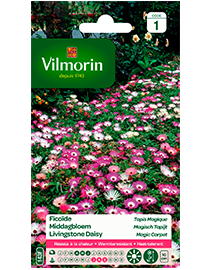 Bloemzaden Middagbloem Magisch Tapijt 1g