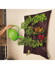 Wall Hugger Plantenzak Moestuin aan de muur