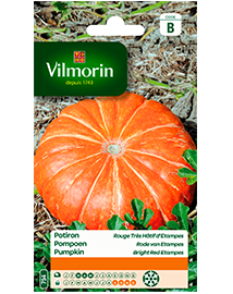 Vilmorin Zaden Pompoen Rode Van Etampes