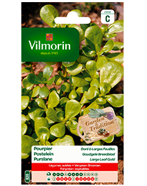 Vilmorin Postelein zaden Goudgele Breedblad 3g