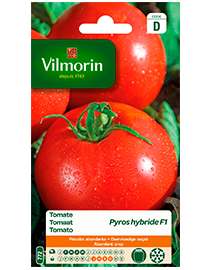 Vilmorin Tomatenzaad Pyros F1 0,1g